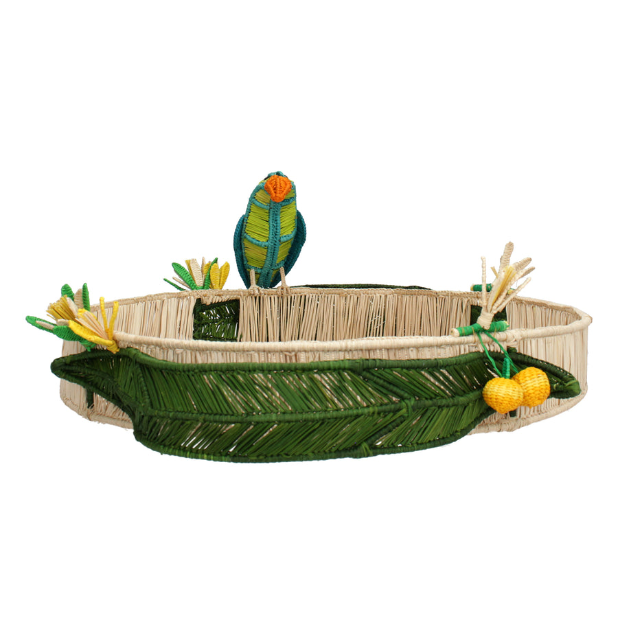 Parrots tray