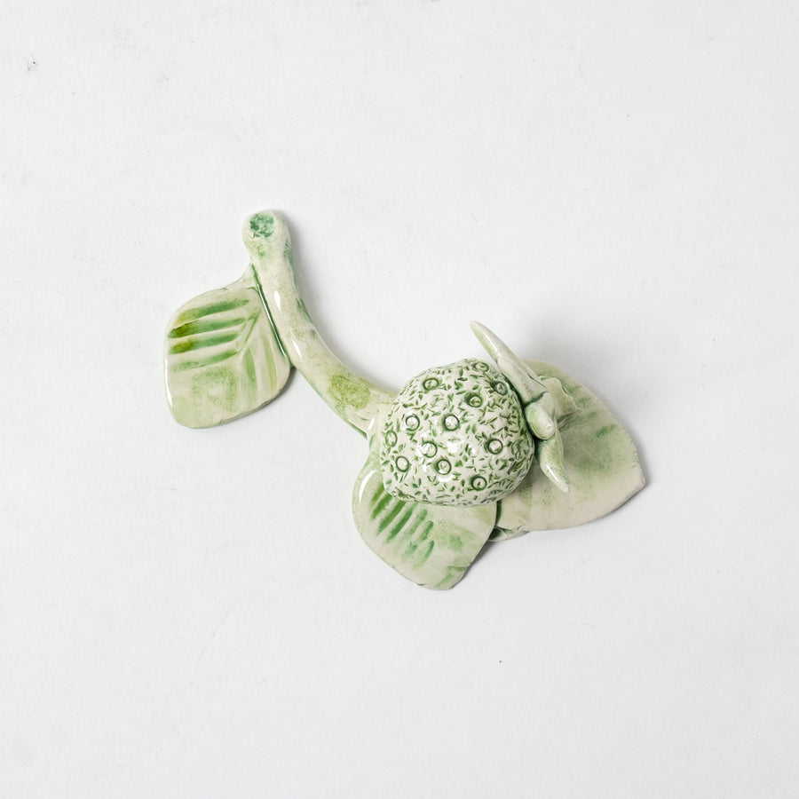 Branch whit green strawberry