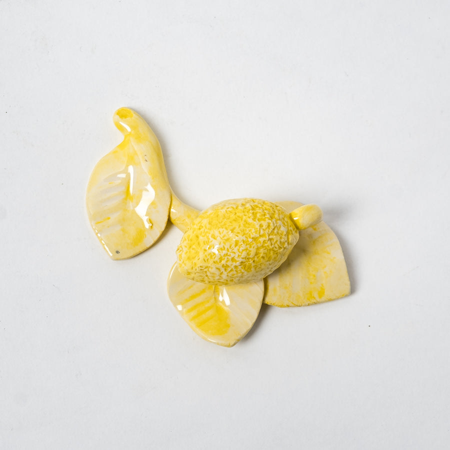 Branch whit lemon