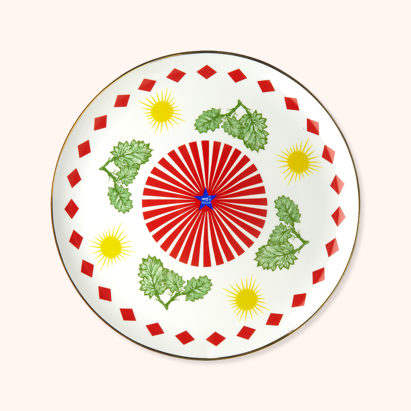Vegetable Pizza Plate