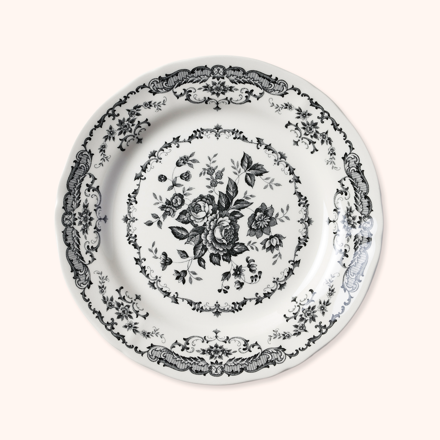 Graphite Dinner Plate