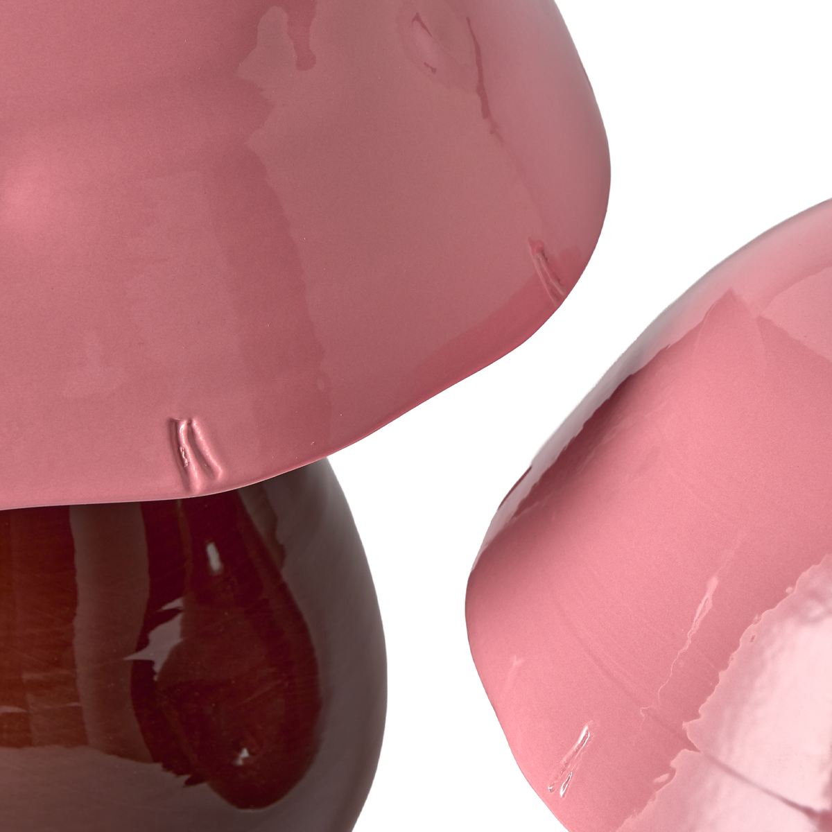 Fungo Rosa