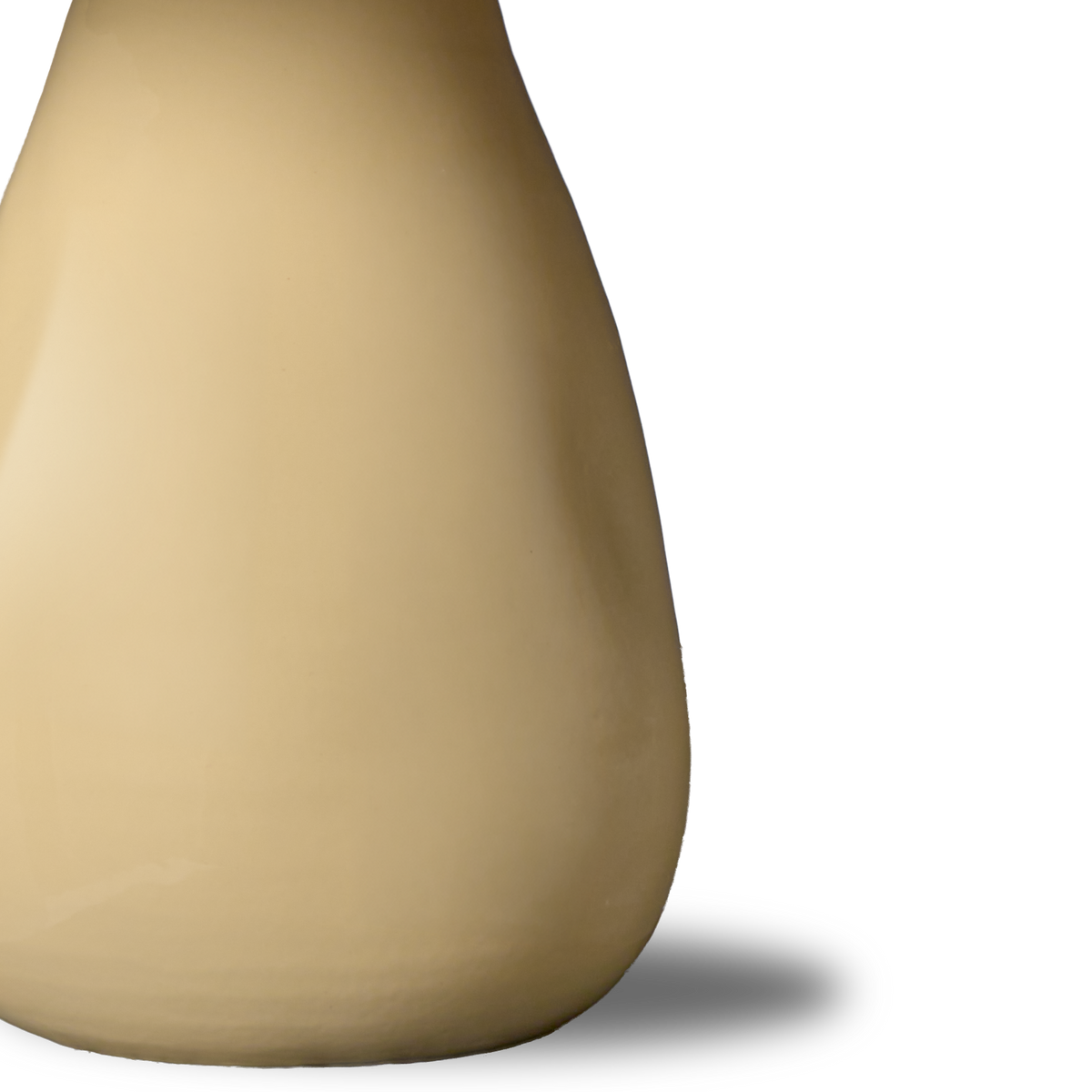 Fungo Marrone