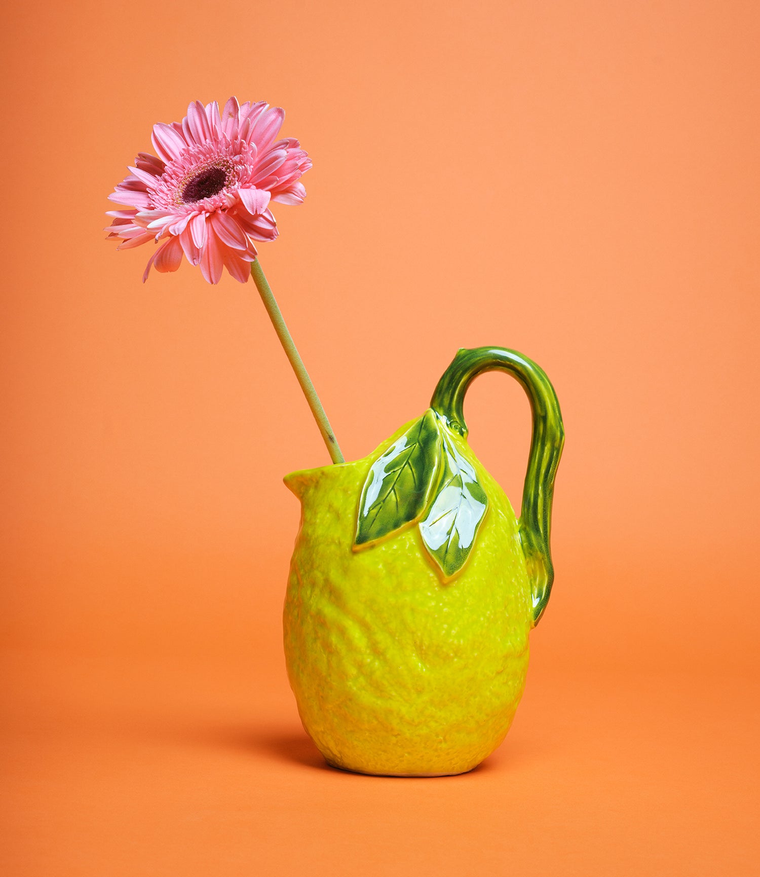 Piatto Bietola
